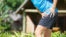 hip pain exercises