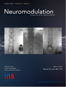 Neuromodulation: Technology at the Neural Interface