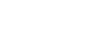 New York State Troopers PBA