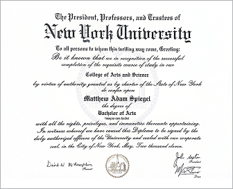 NYU Undergraduate